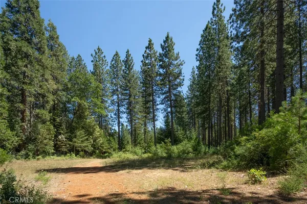 a view of a backyard with trees