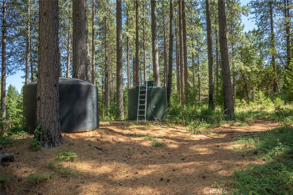 0 Forbestown Road Forbestown, CA 95941 - Photo 23 of 40 a view of outdoor space with trees