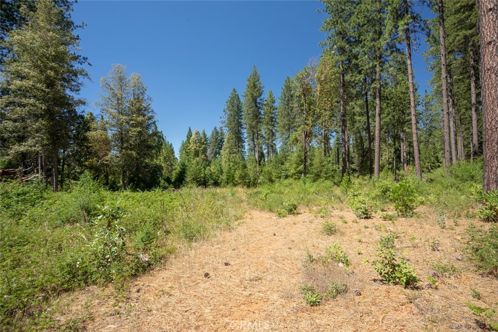0 Forbestown Road Forbestown, CA 95941 - Photo 28 of 40 a big yard with lots of green space