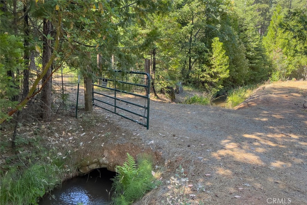 0 Forbestown Road Forbestown, CA 95941 - Photo 3 of 40 a view of a forest with trees in the background