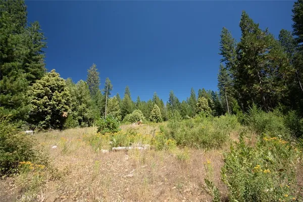 a view of outdoor space with trees all around