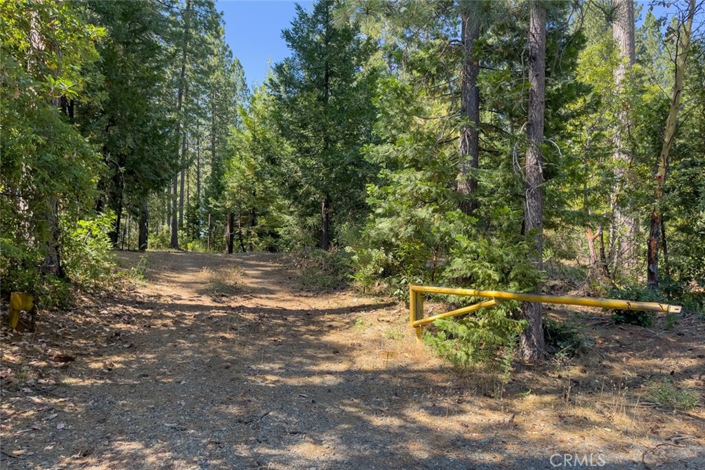 0 Forbestown Road Forbestown, CA 95941 - Photo 7 of 40 a backyard of a house with lots of green space