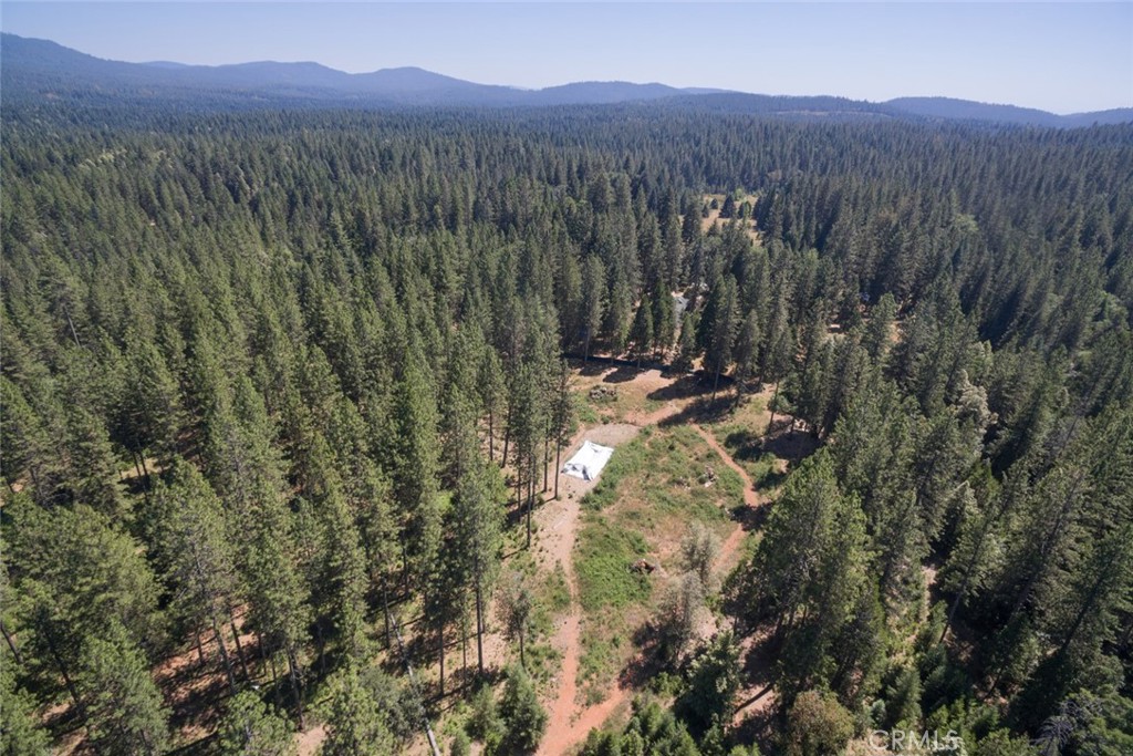 0 Forbestown Road Forbestown, CA 95941 - Photo 8 of 40 a view of a forest with mountains in the background