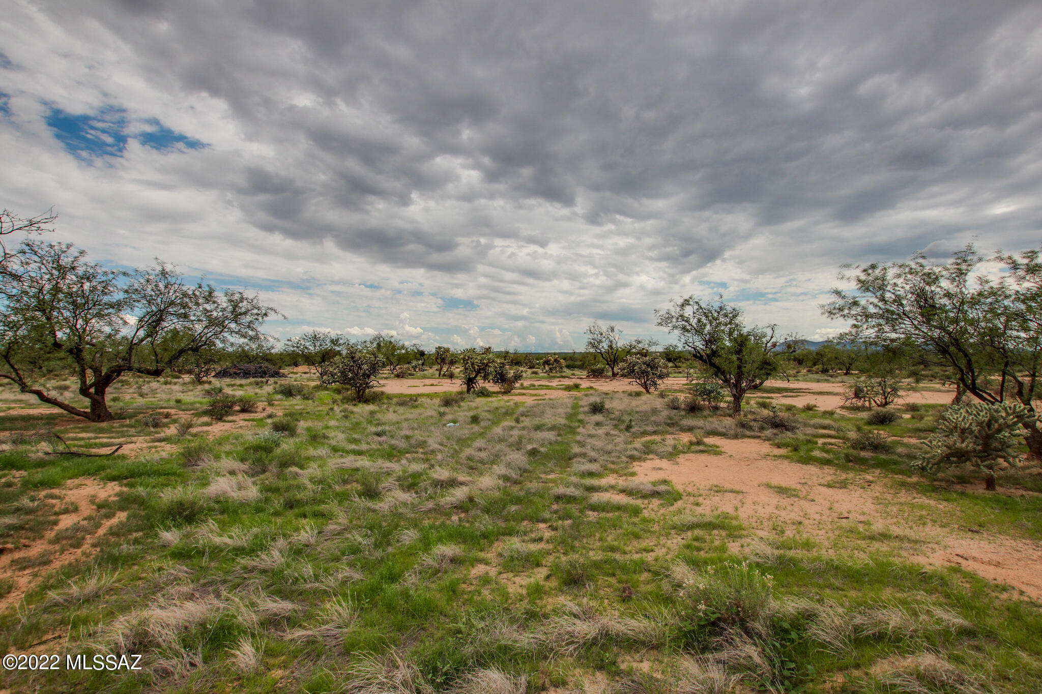 13220 Cortel Road, Unit W Tucson, AZ 85736 - Photo 36 of 50 Gallery Image 36
