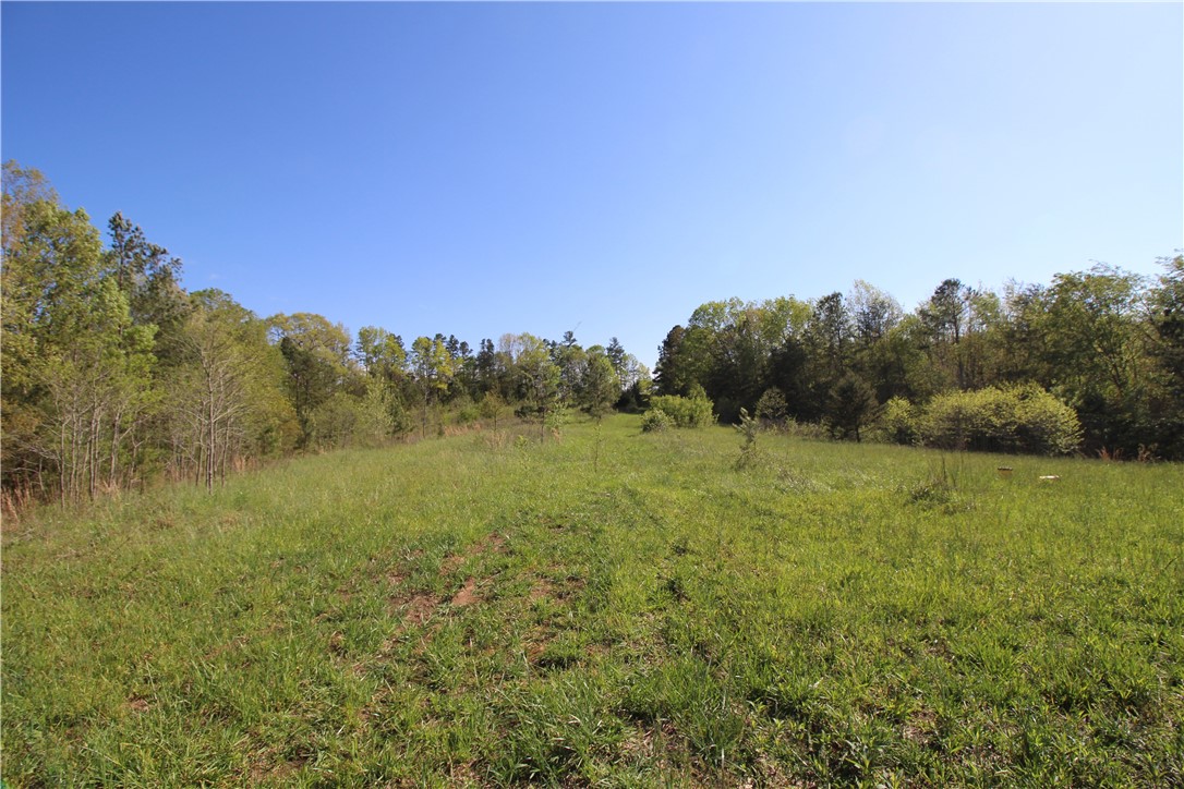 166 South Retreat Road Westminster, SC 29693 - Photo 6 of 16 Gallery Image 6