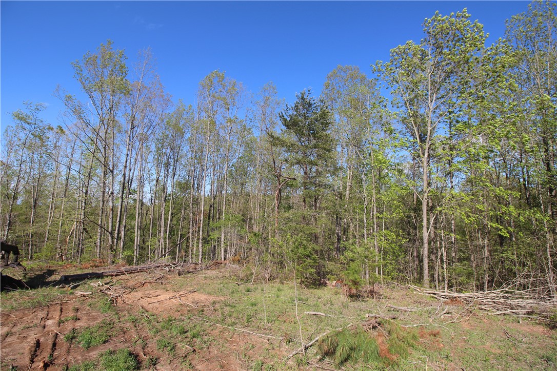166 South Retreat Road Westminster, SC 29693 - Photo 7 of 16 Gallery Image 7