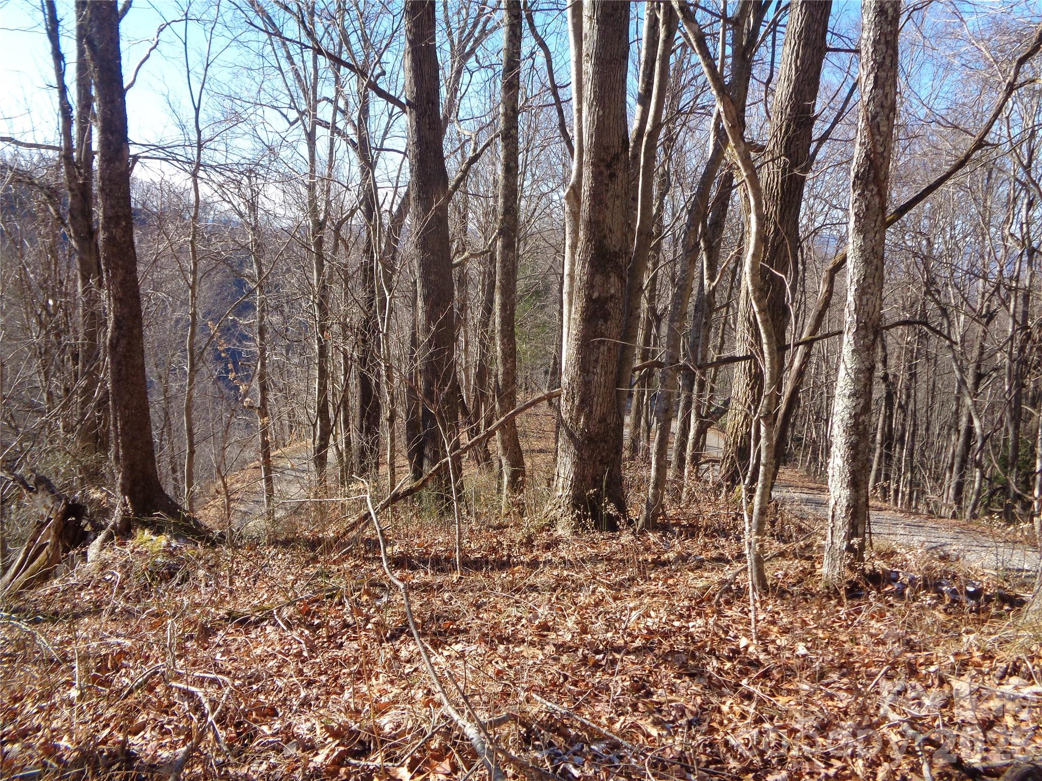 0 Listening Cove, Unit 42 Clyde, NC 28721 - Photo 2 of 12