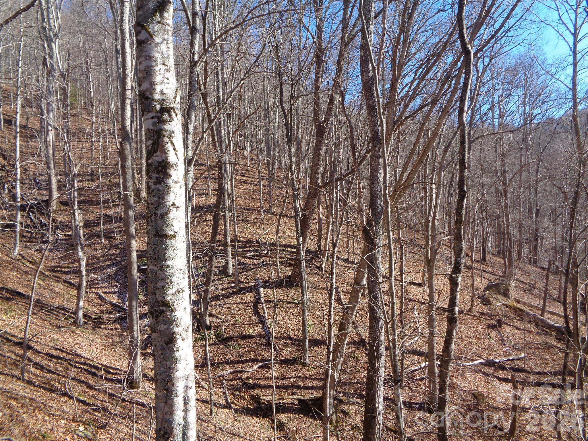 0 Listening Cove, Unit 42 Clyde, NC 28721 - Photo 3 of 12