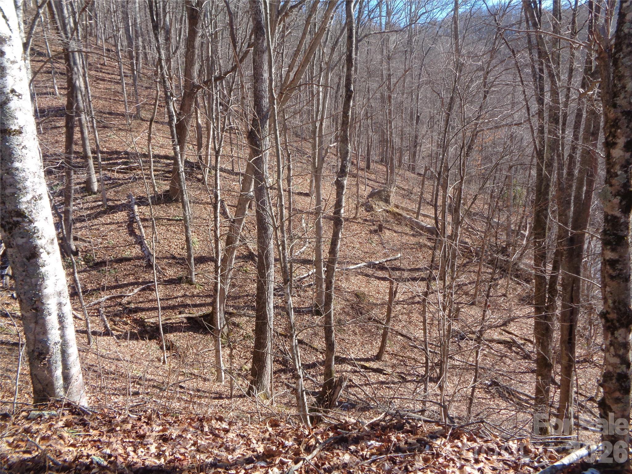 0 Listening Cove, Unit 42 Clyde, NC 28721 - Photo 4 of 12