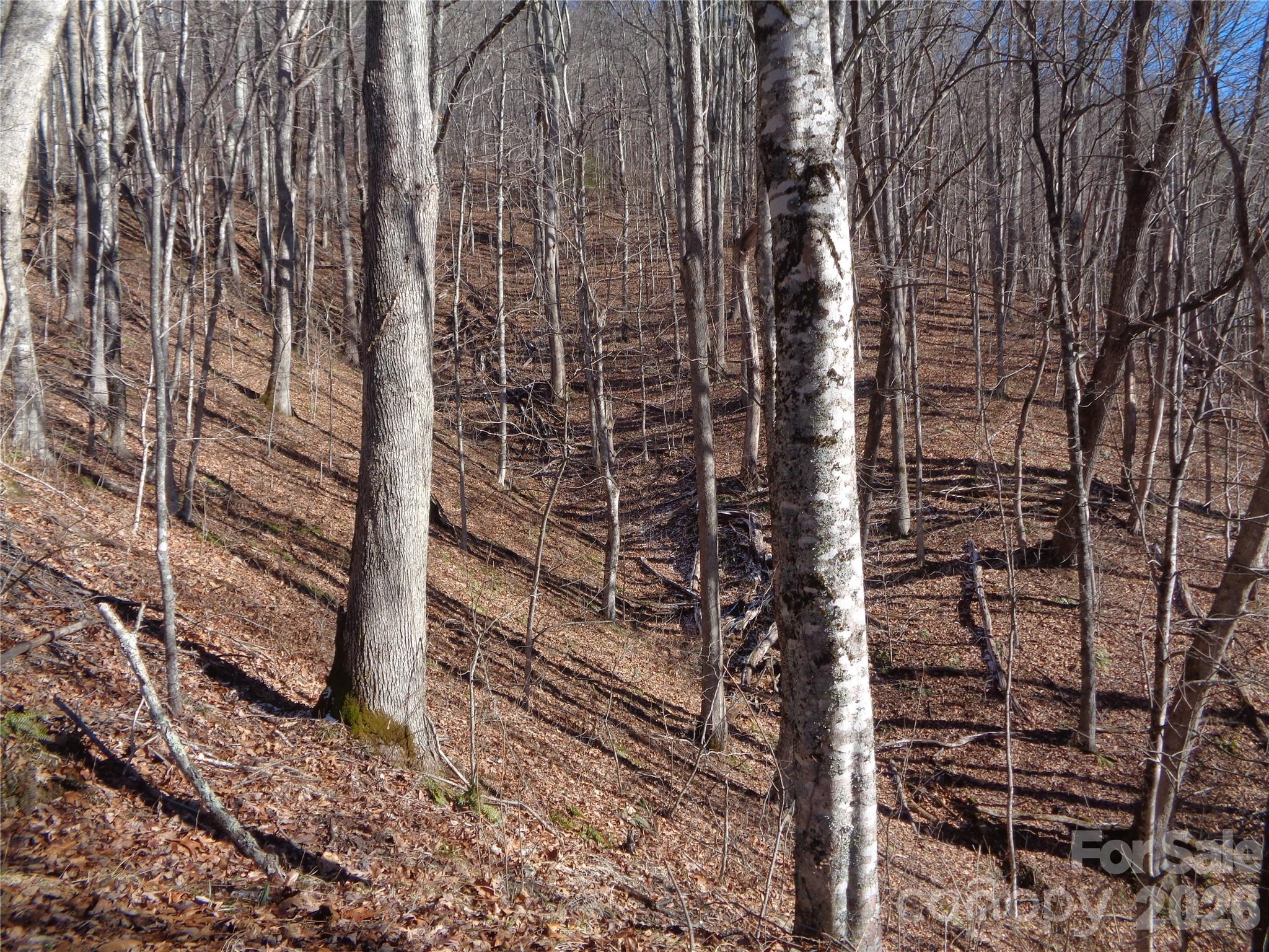 0 Listening Cove, Unit 42 Clyde, NC 28721 - Photo 5 of 12