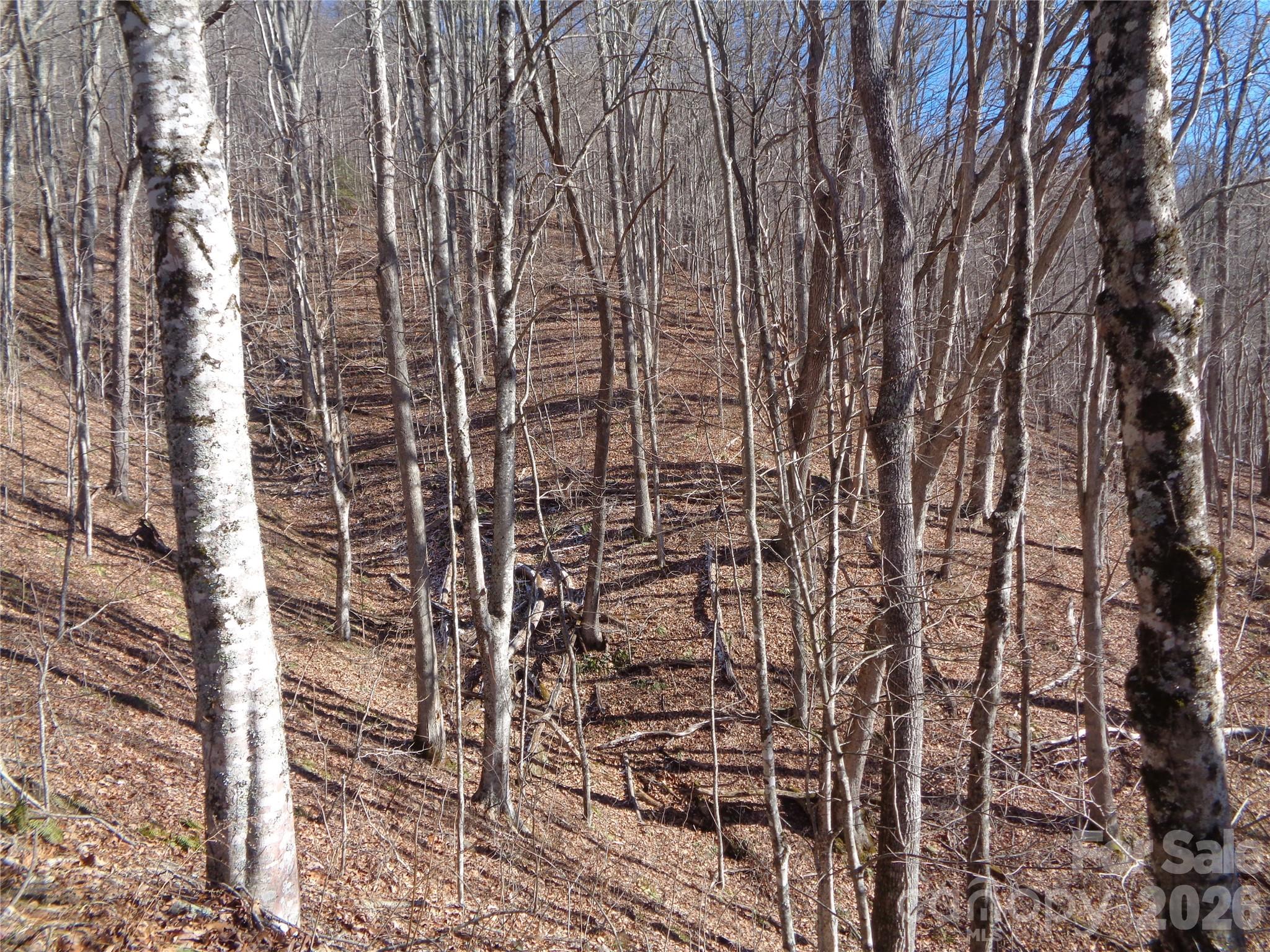 0 Listening Cove, Unit 42 Clyde, NC 28721 - Photo 8 of 12