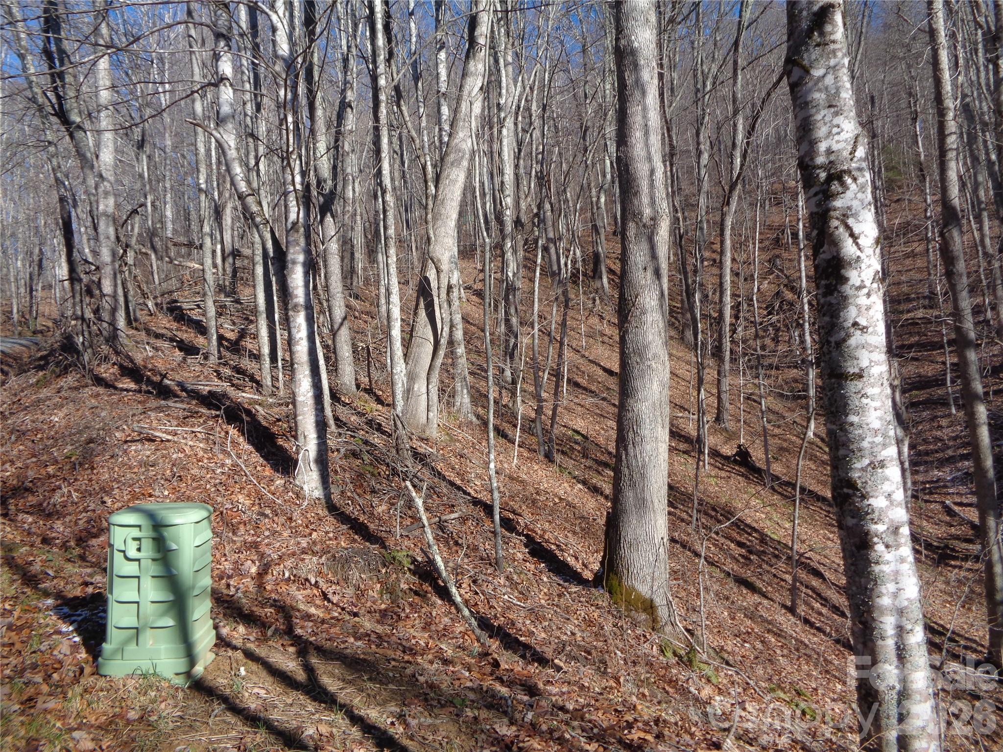 0 Listening Cove, Unit 42 Clyde, NC 28721 - Photo 9 of 12