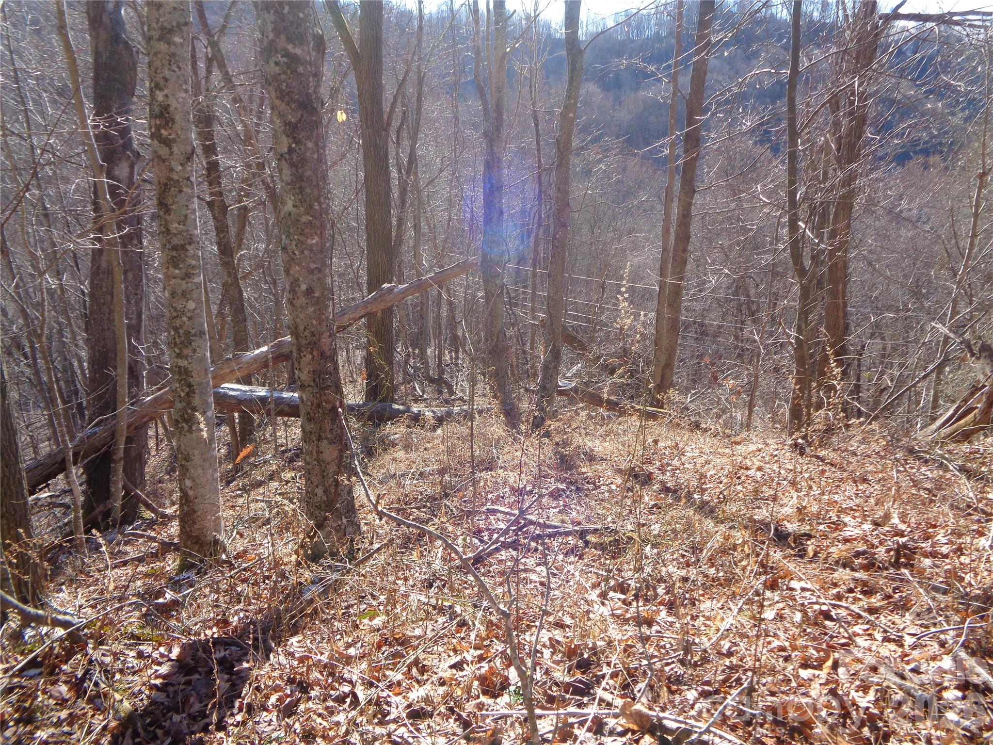 0 Listening Cove, Unit 42 Clyde, NC 28721 - Photo 10 of 12