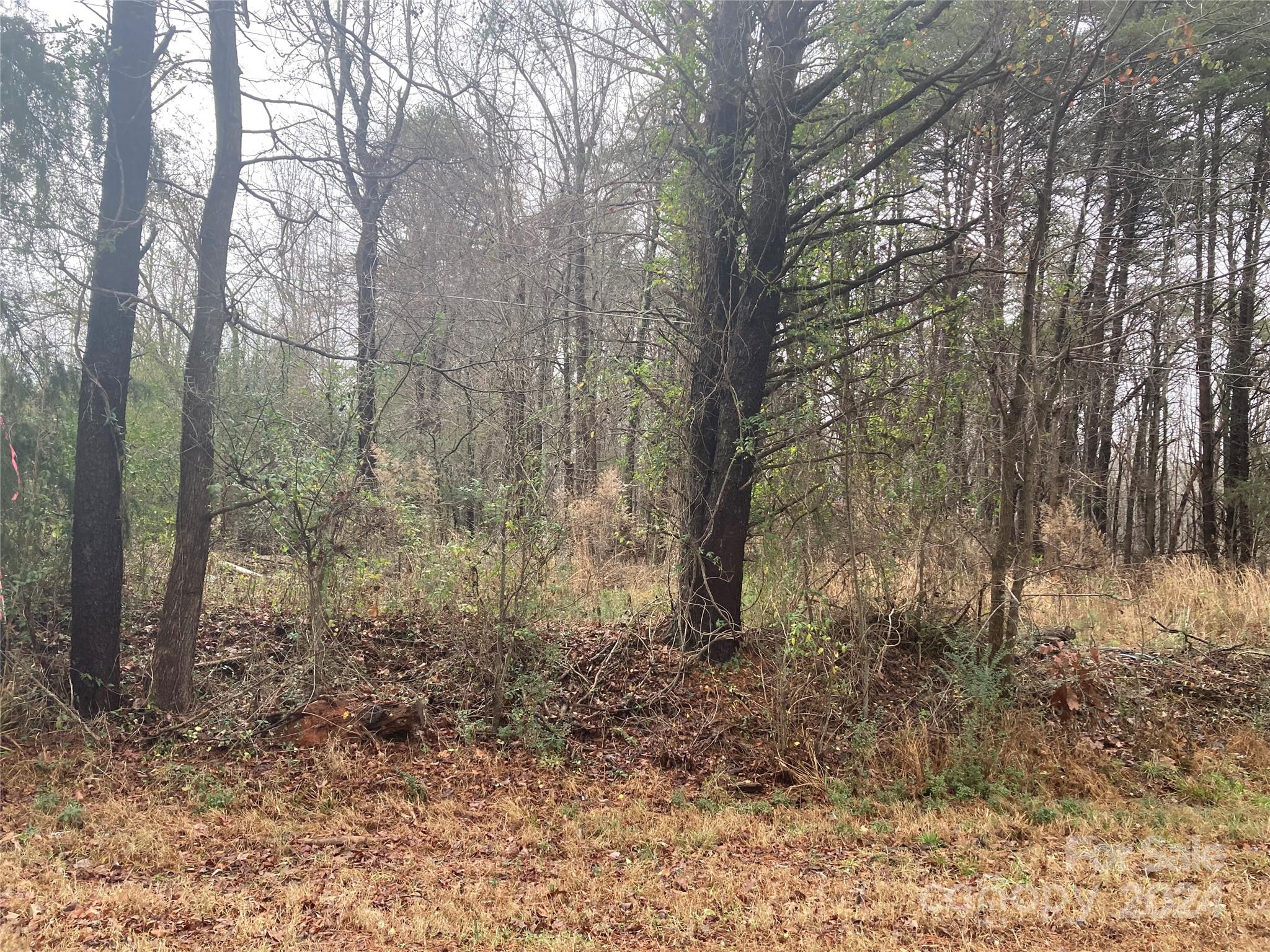 259 Camp Rotary Road Gastonia, NC 28052 - Photo 1 of 2 Gallery Image 1