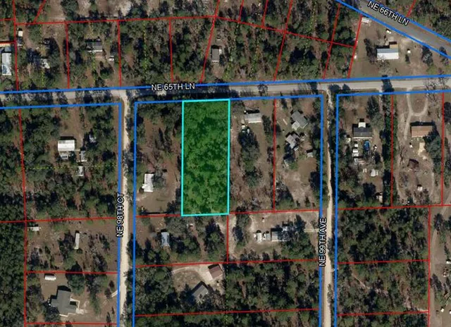 a view of a yard with a plants and trees