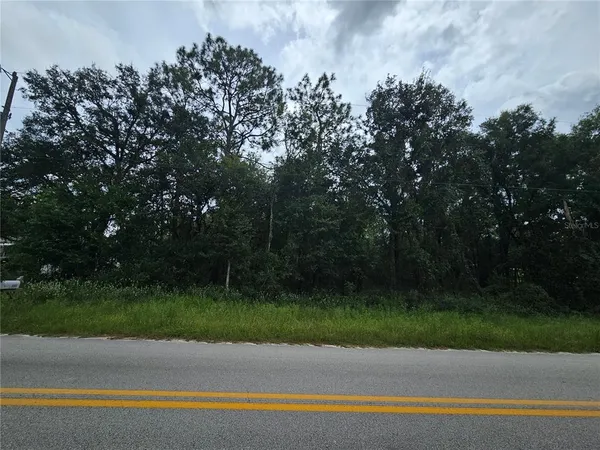a view of a field and trees in the background