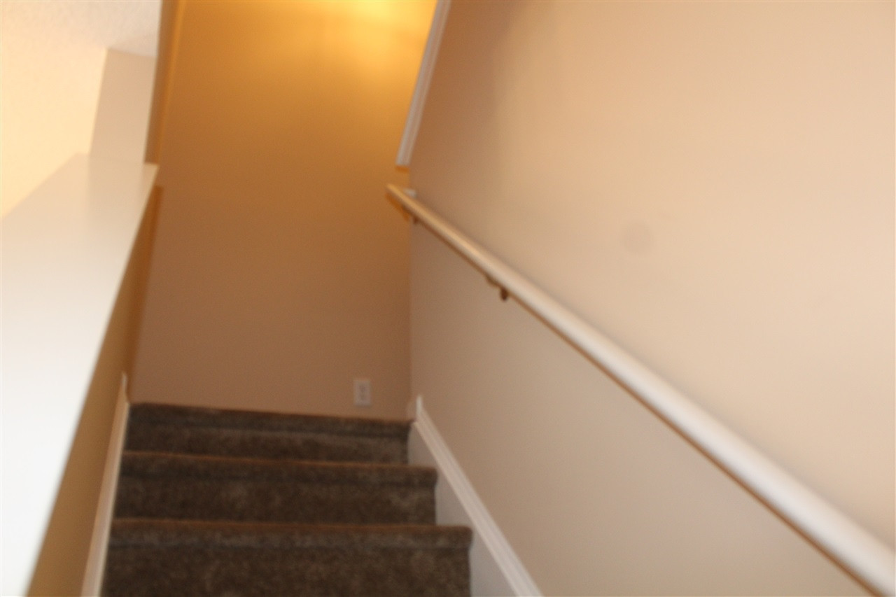 8116 Bright Oak Trail Raleigh, NC 27616 - Photo 18 of 20 Photo 18