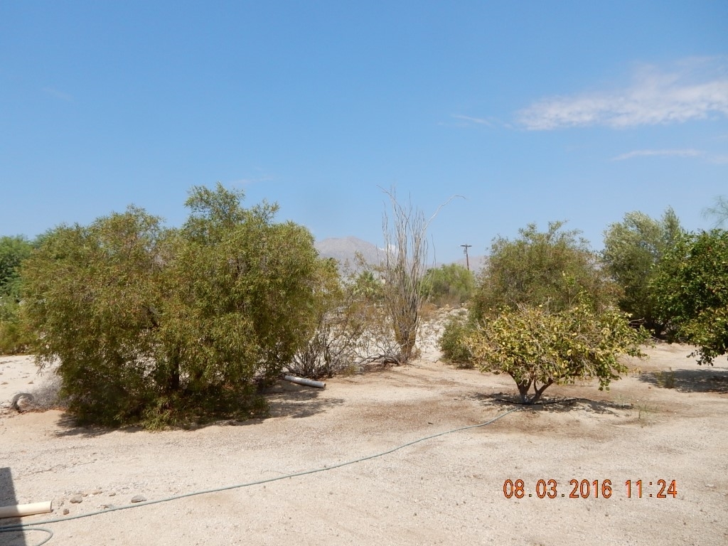 880 Rango Way Borrego Springs, CA 92004 - Photo 11 of 22 Gallery Image 11
