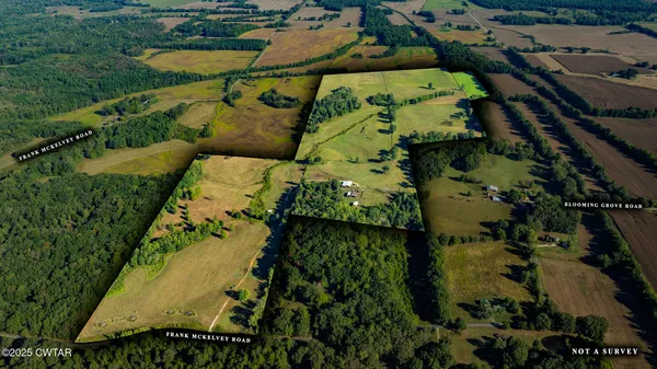 $864,000 | 0 Frank Mckelvey Road, Palmersville, TN 38241