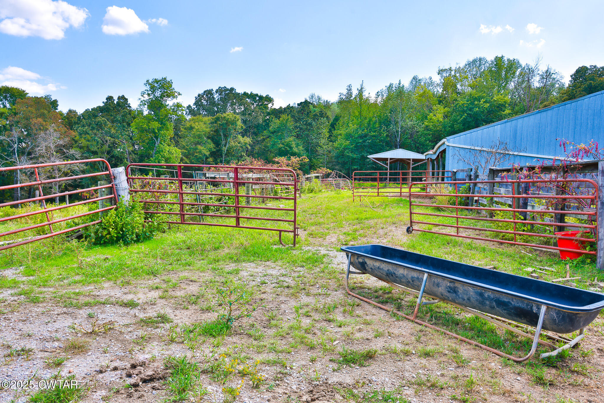 0 Frank Mckelvey Road Palmersville, TN 38241 - Photo 14 of 25 FT8A1671