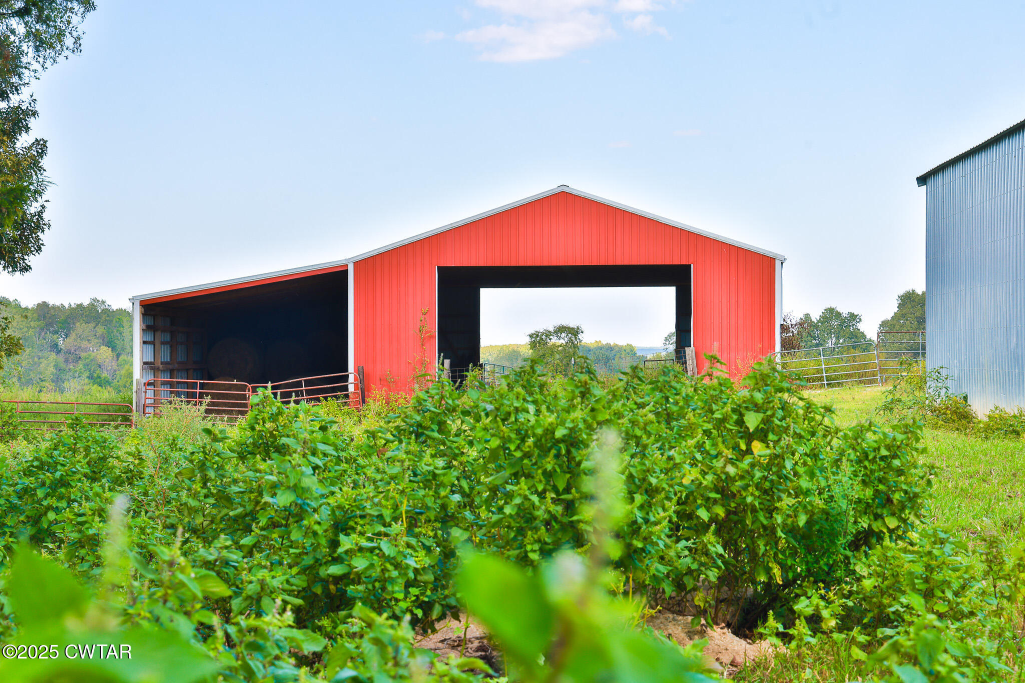 0 Frank Mckelvey Road Palmersville, TN 38241 - Photo 18 of 25 FT8A1684