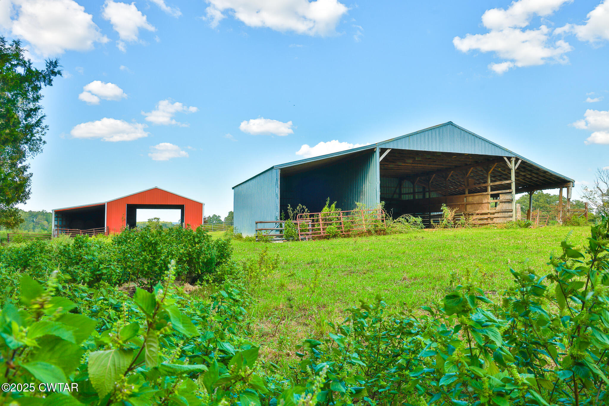 0 Frank Mckelvey Road Palmersville, TN 38241 - Photo 19 of 25 FT8A1681