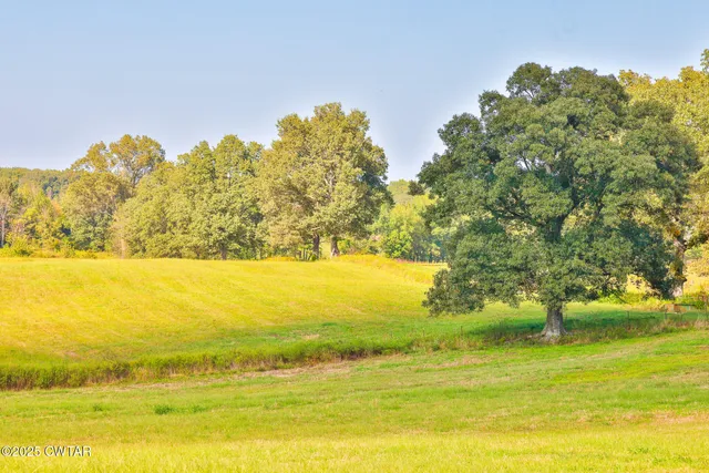 $864,000 | 0 Frank Mckelvey Road, Palmersville, TN 38241