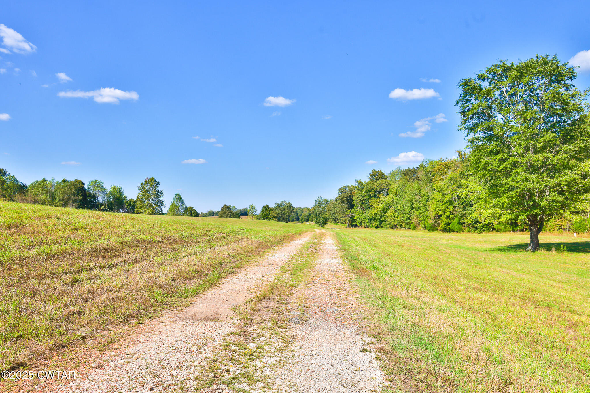 0 Frank Mckelvey Road Palmersville, TN 38241 - Photo 23 of 25 FT8A1696