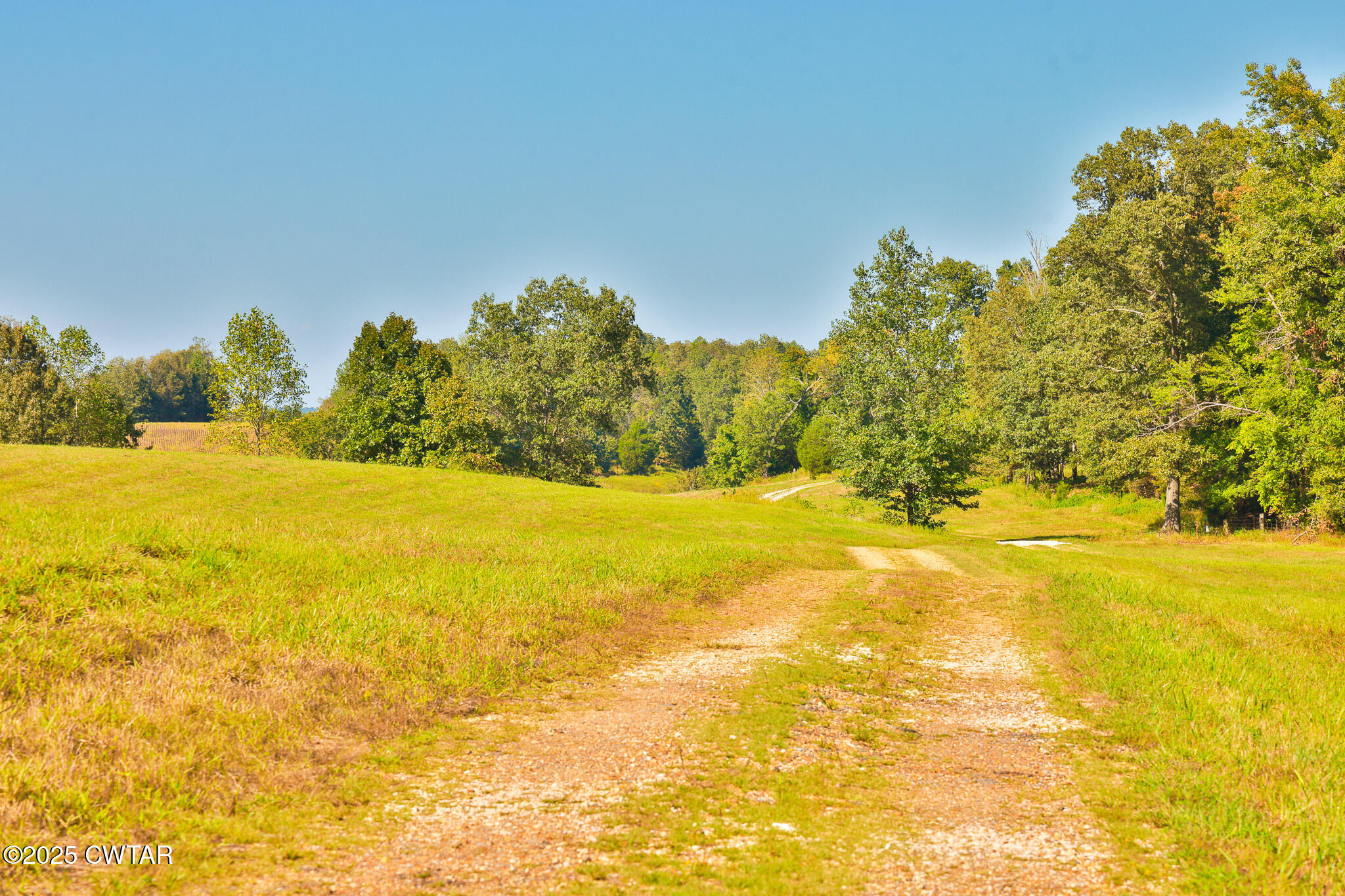 0 Frank Mckelvey Road Palmersville, TN 38241 - Photo 24 of 25 FT8A1697