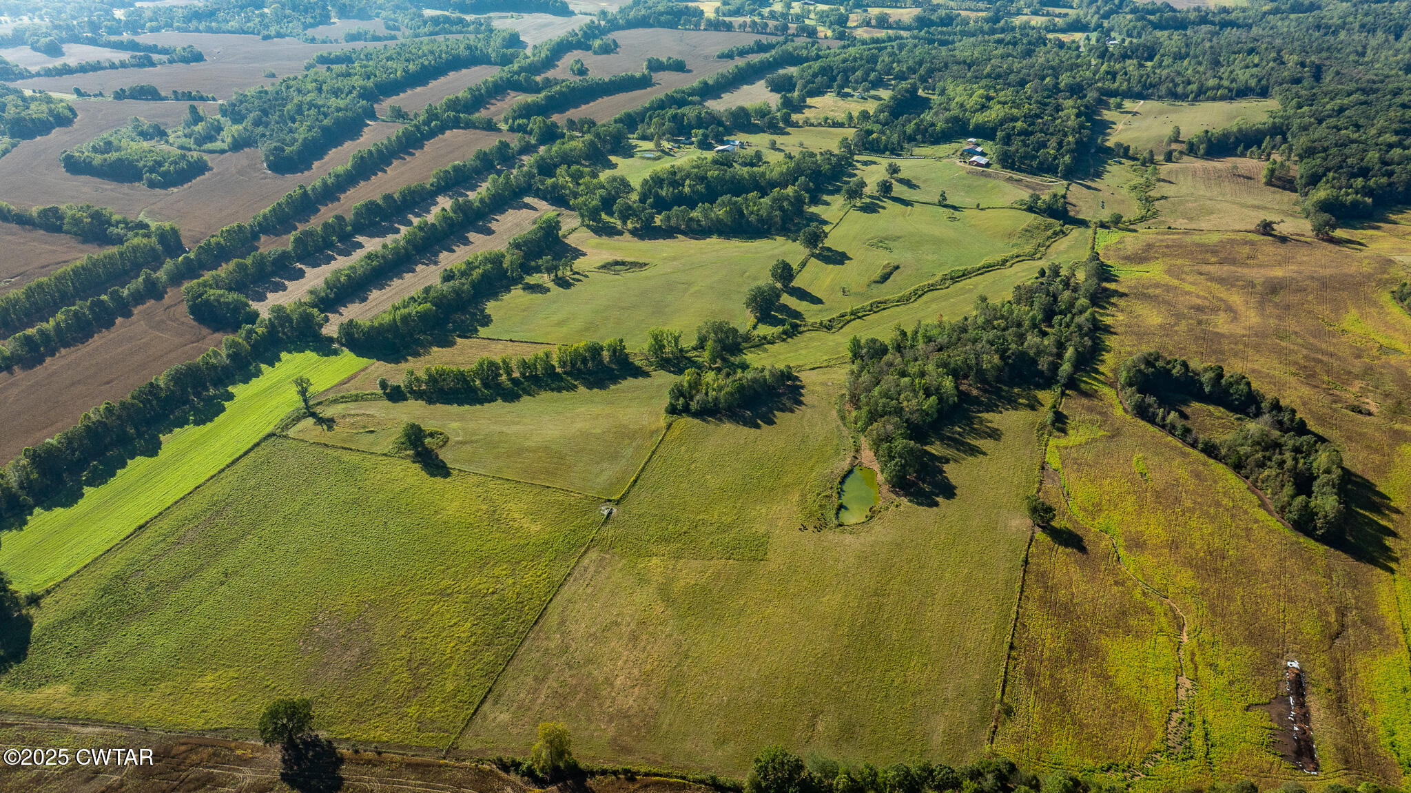 0 Frank Mckelvey Road Palmersville, TN 38241 - Photo 5 of 25 DJI_20250926092510_0169_D