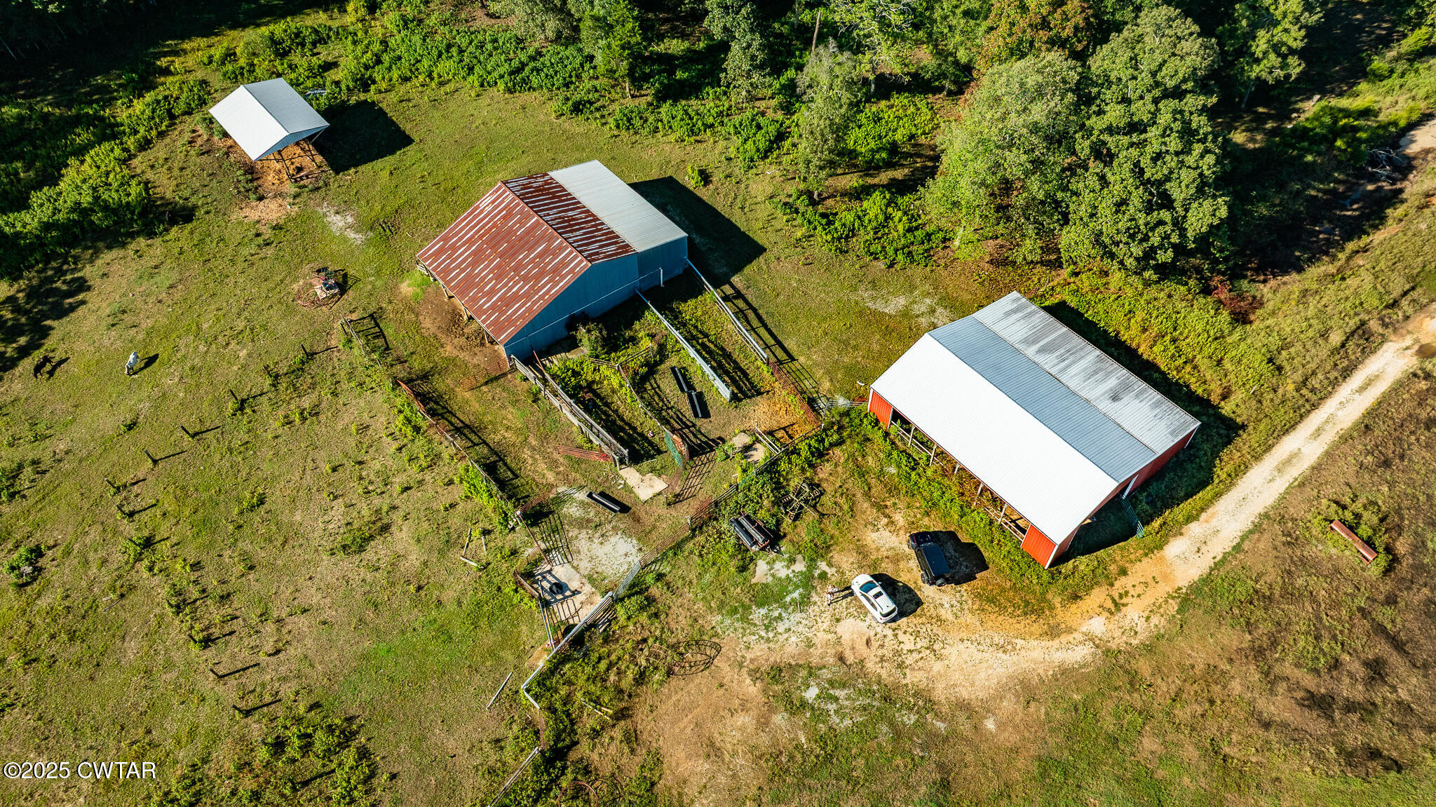 0 Frank Mckelvey Road Palmersville, TN 38241 - Photo 8 of 25 DJI_20250926092922_0184_D