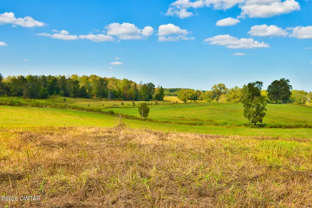 $864,000 | 0 Frank Mckelvey Road, Palmersville, TN 38241