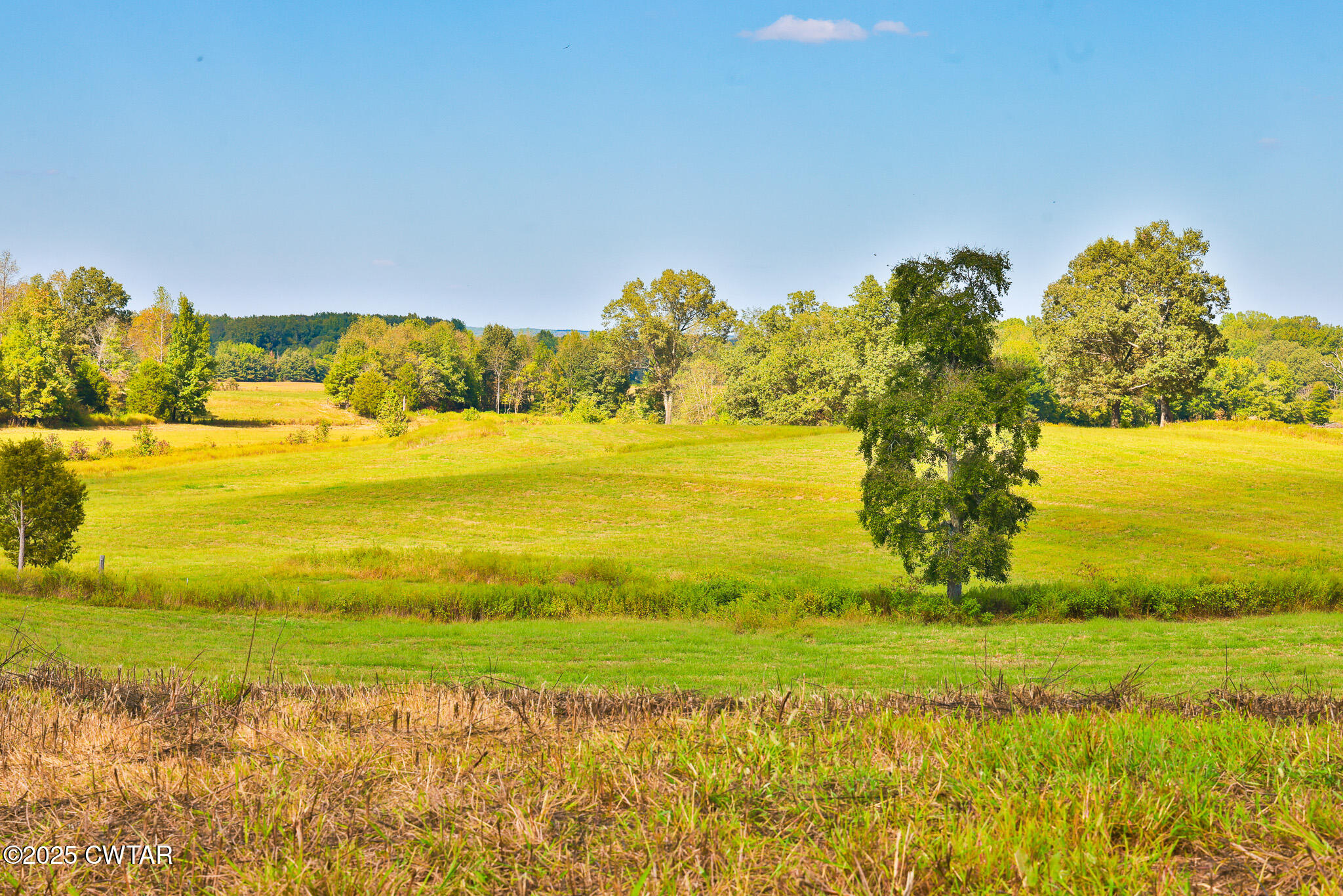 0 Frank Mckelvey Road Palmersville, TN 38241 - Photo 10 of 25 FT8A1666