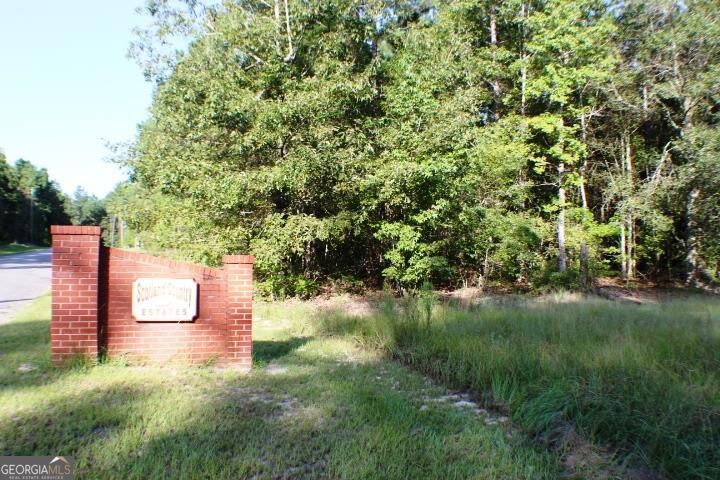 Lot # 63 Scotland Road Dublin, GA 31021 - Photo 1 of 1 Main View