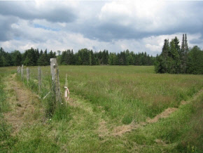 521 Morrill Road Danville, VT 05828 - Photo 27 of 31 Gallery Image 27