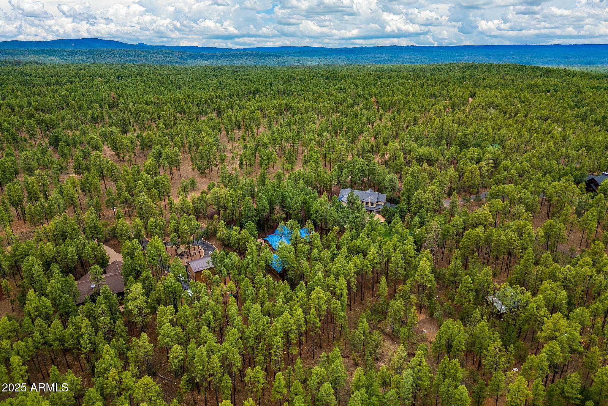 368 West Rim Road Pinetop, AZ 85935 - Photo 43 of 47 368RimRd-Pinetop-AZ-43