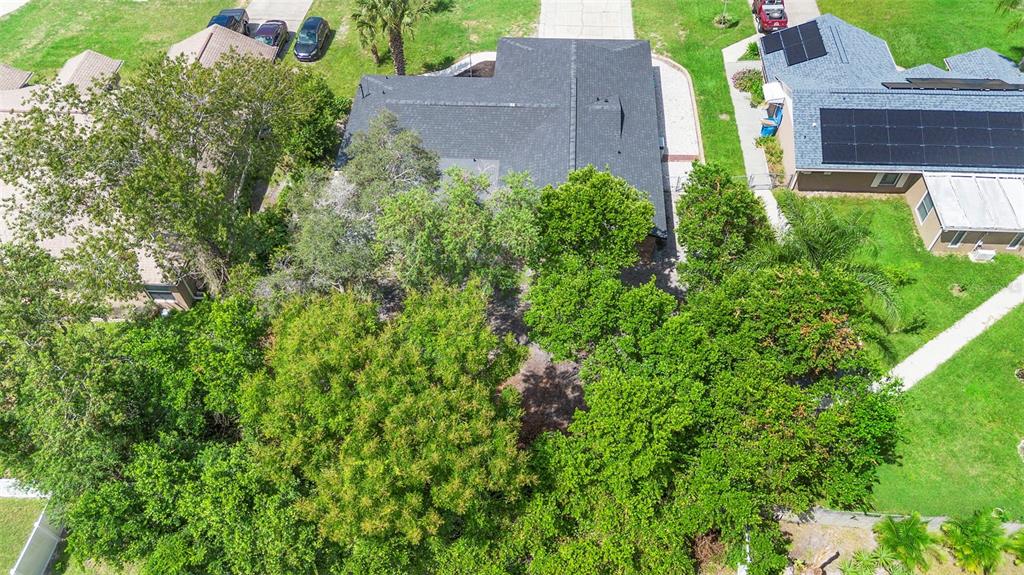 2459 Walkertown Avenue Deltona, FL 32725 - Photo 35 of 44 Gallery Image 35