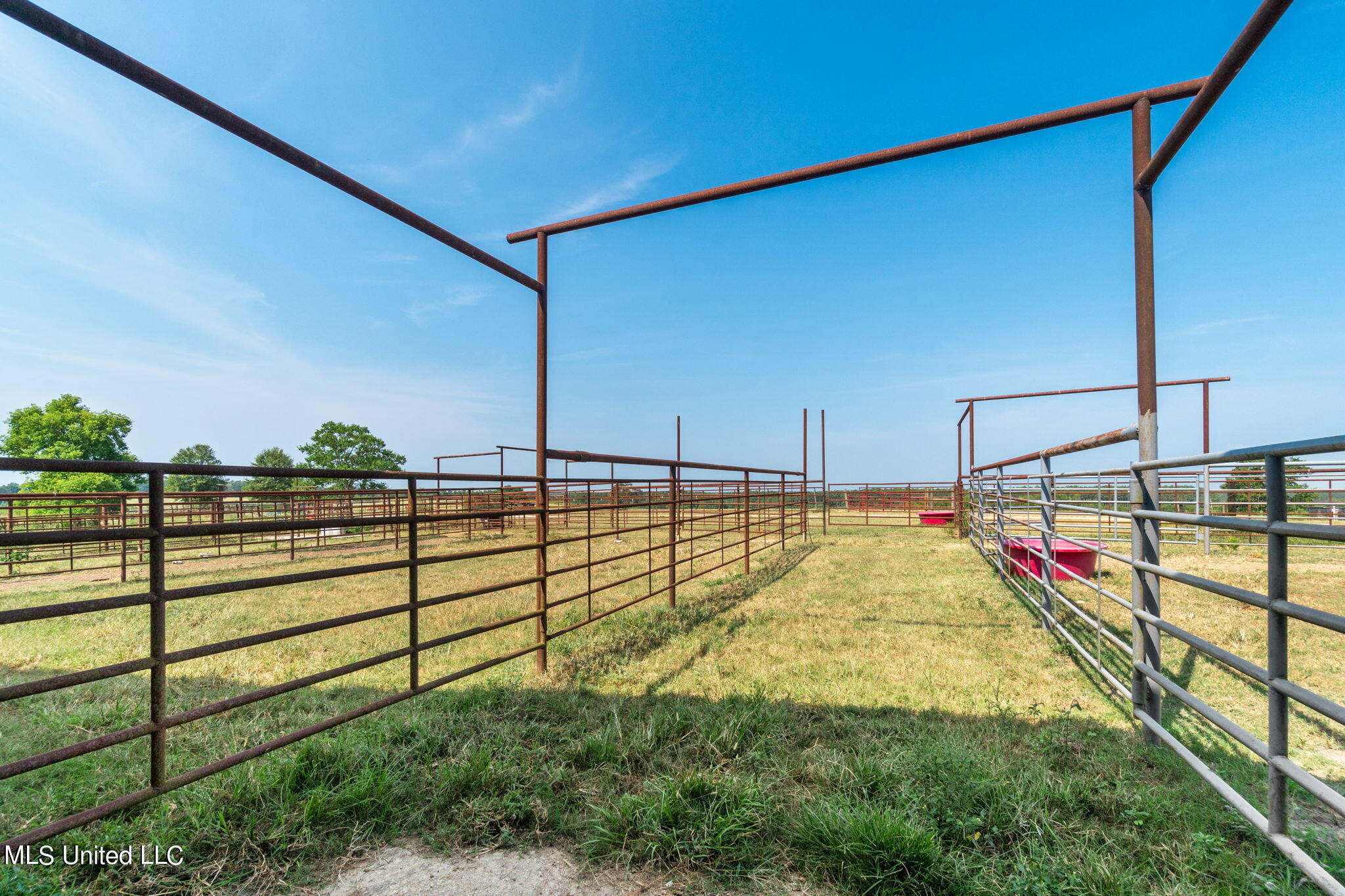 603 Osborn Moody Road Poplarville, MS 39470 - Photo 42 of 72 603_Osborn_Moody_Rd-44
