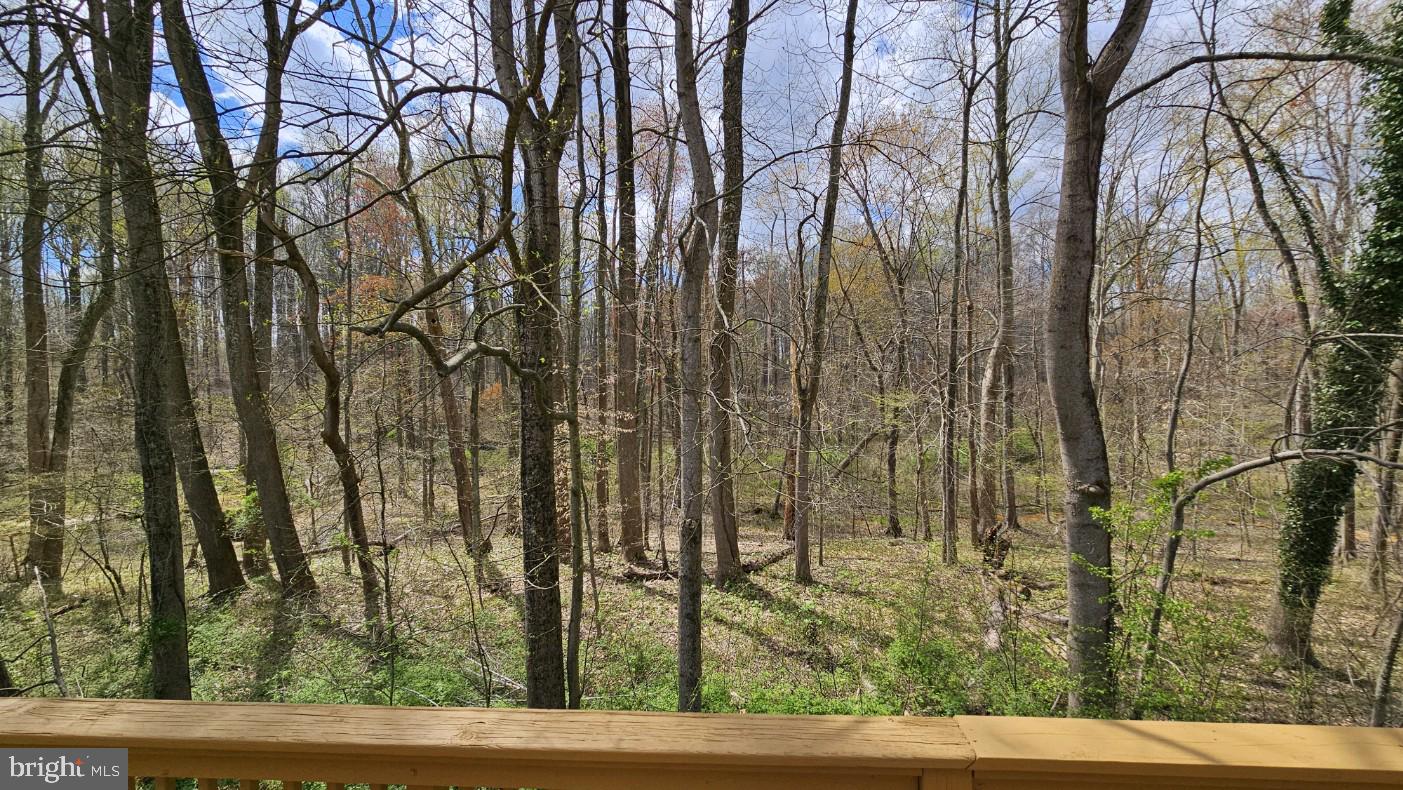 6160 Solomons Island Road Dunkirk, MD 20754 - Photo 18 of 48 Rear Deck View