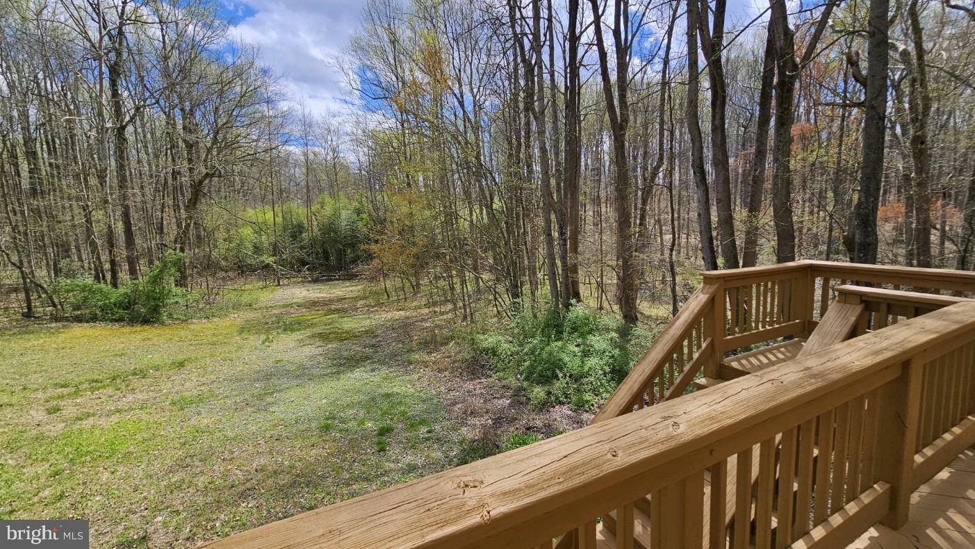 6160 Solomons Island Road Dunkirk, MD 20754 - Photo 21 of 48 Side Yard View from Rear Deck