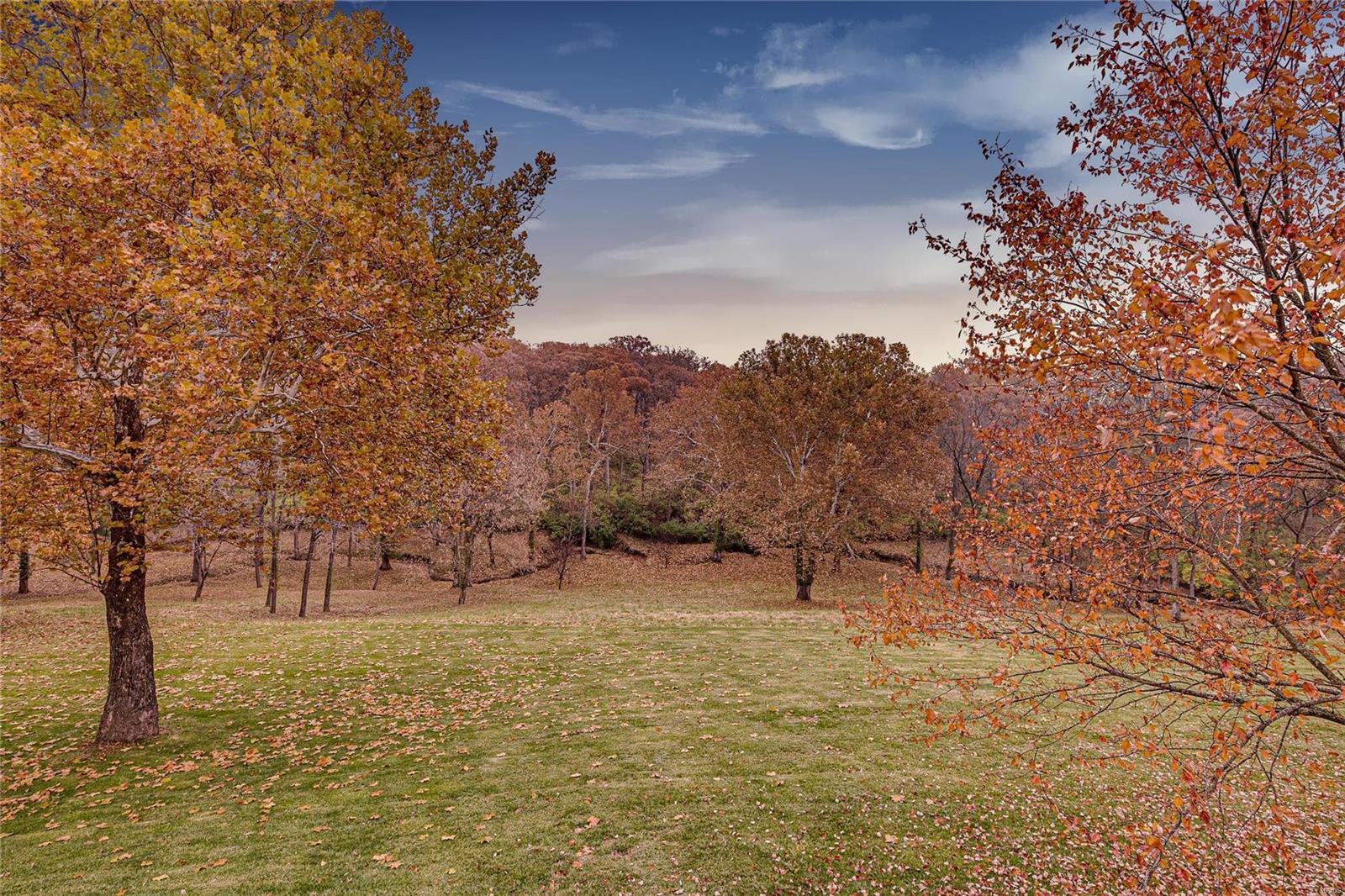 9116 Rott Road St. Louis, MO 63127 - Photo 7 of 80 Gallery Image 7