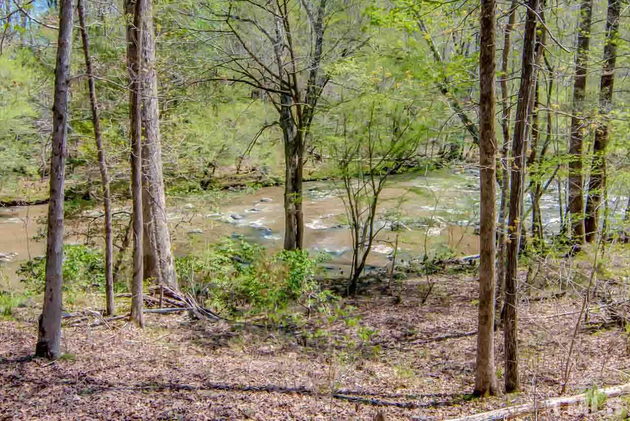 402 Bowen Road Rougemont, NC 27572 - Photo 23 of 25 a view of a forest that has large trees