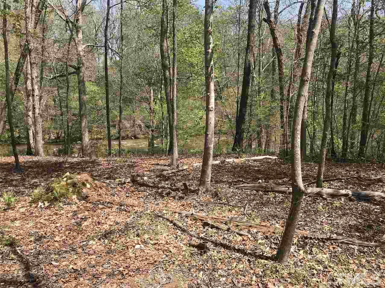 402 Bowen Road Rougemont, NC 27572 - Photo 25 of 25 a backyard of a house with lots of green space