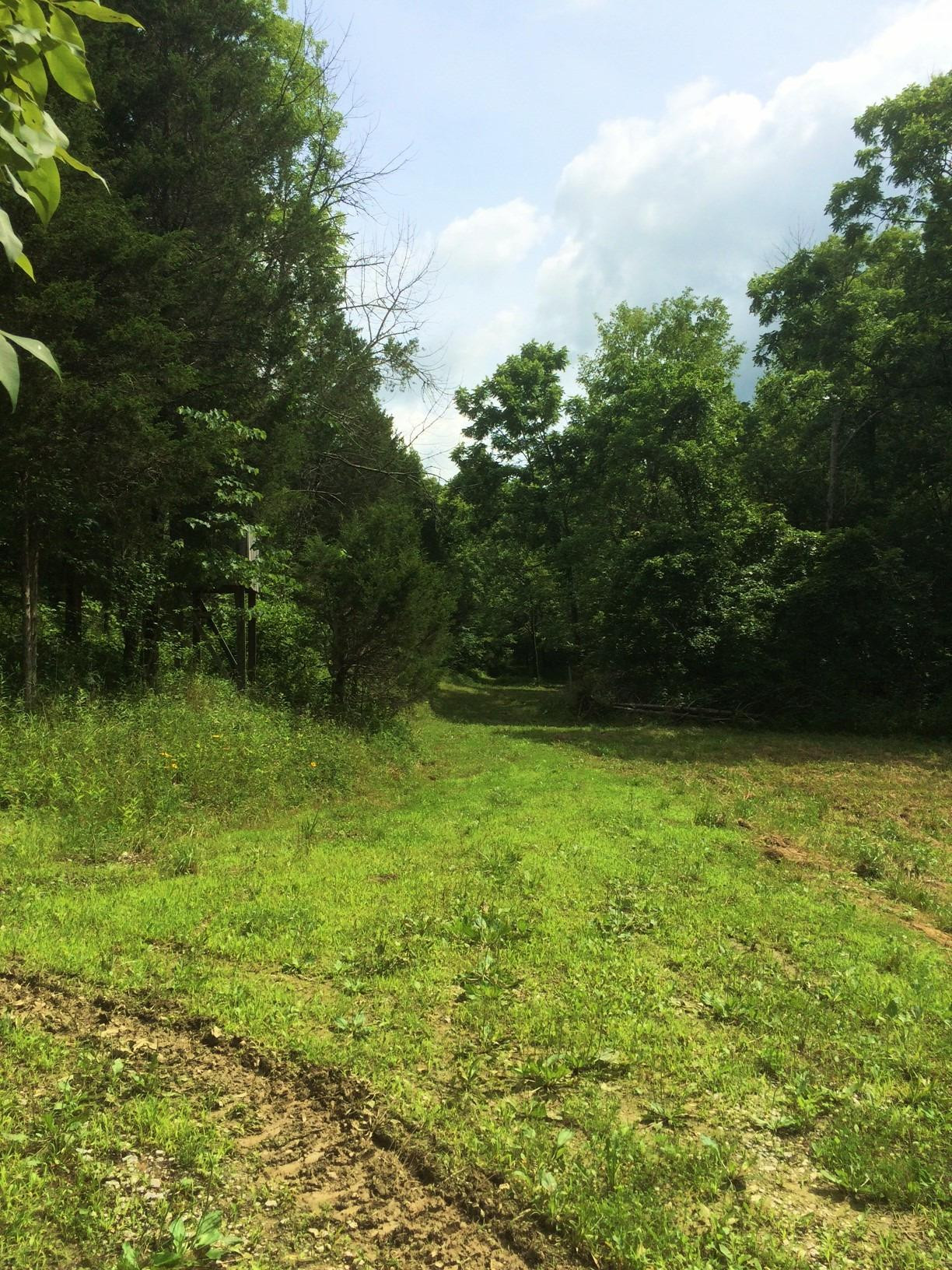 0 Keefer Lawrenceville Road Corinth, KY 41010 - Photo 27 of 29