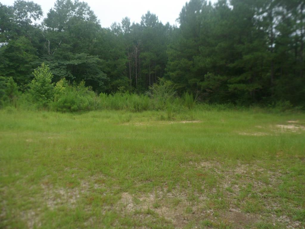 0 Tv Tower Road Andalusia, AL 36420 - Photo 4 of 8 Gallery Image 4