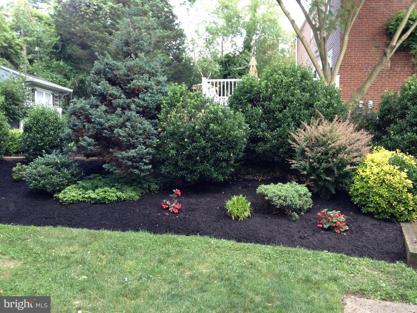 517 Maple Hill Road Havertown, PA 19083 - Photo 22 of 23 Back Yard