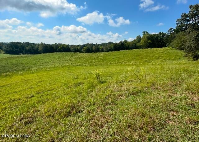 0 Co Road Riceville, TN 37370 - Photo 1 of 1 Gallery Image 1