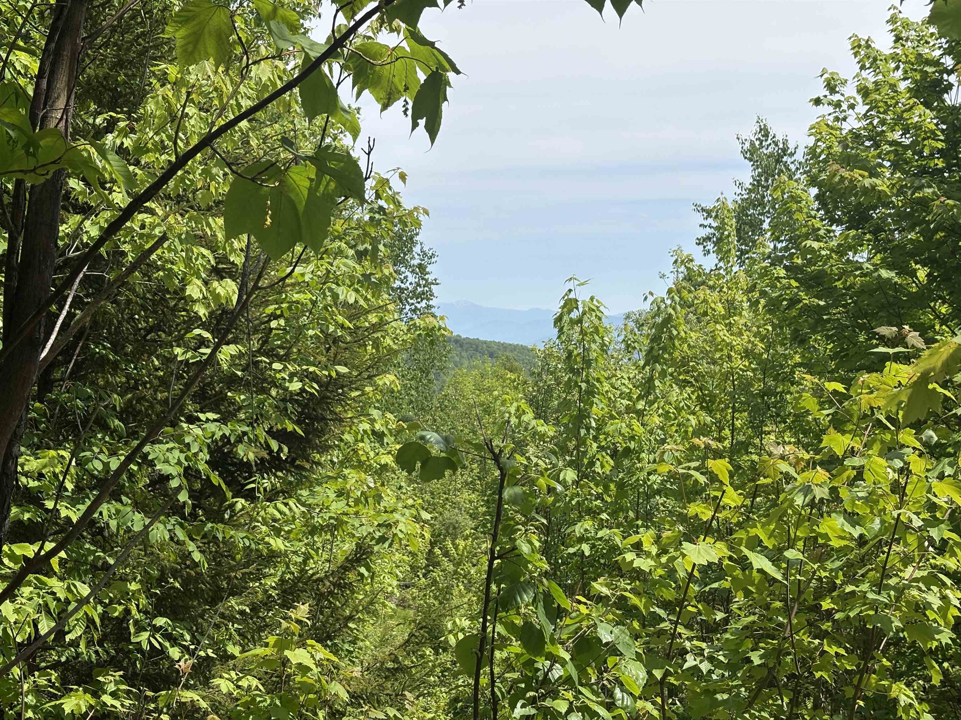 0 Old Pond Hill Road Lunenburg, VT 05906 - Photo 16 of 60 Gallery Image 16