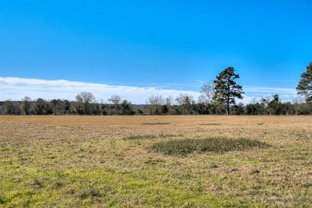 Lot 4 Wire Road Aiken, SC 29801 - Photo 1 of 13