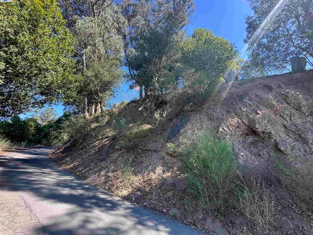 a view of a yard with plants and trees